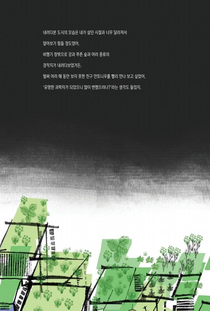 비 너머