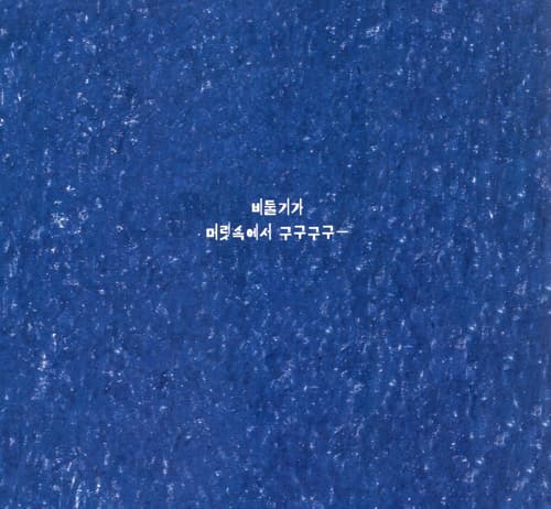 비둘기가 구구구구