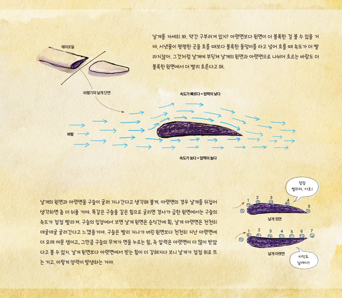 비법 : 하늘을 나는 법