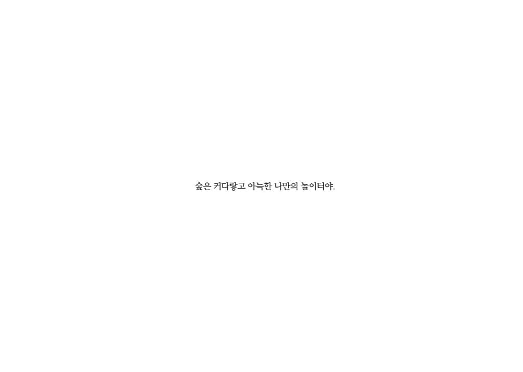 빨간 모자의 숲