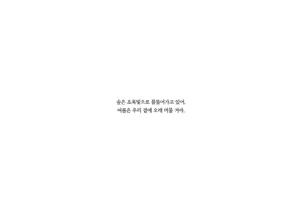 빨간 모자의 숲