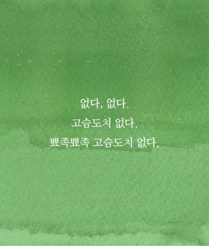 빼꼼, 까꿍!