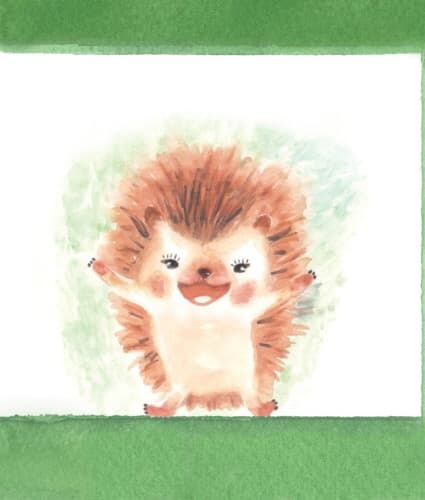 빼꼼, 까꿍!