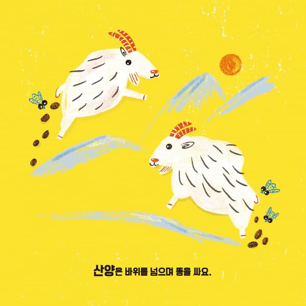 뿌지직 똥 노래