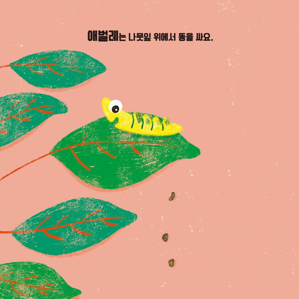 뿌지직 똥 노래