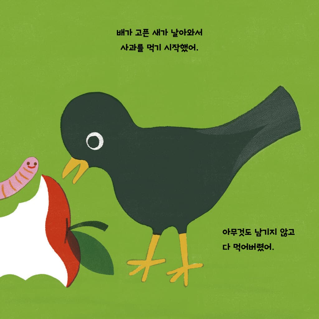 사과 씨 하나가