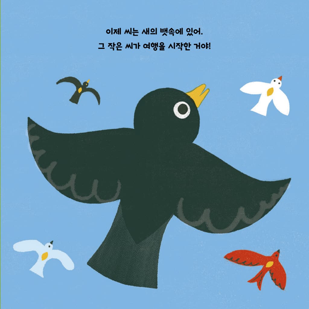 사과 씨 하나가