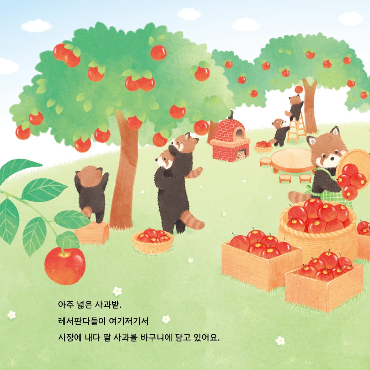 사과밭의 레서판다