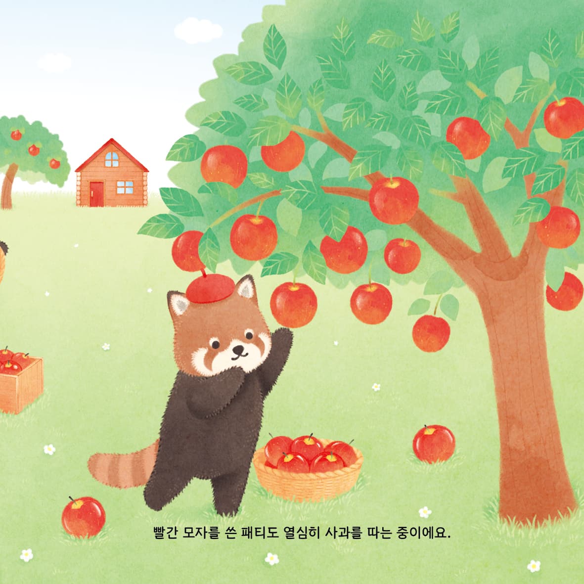 사과밭의 레서판다