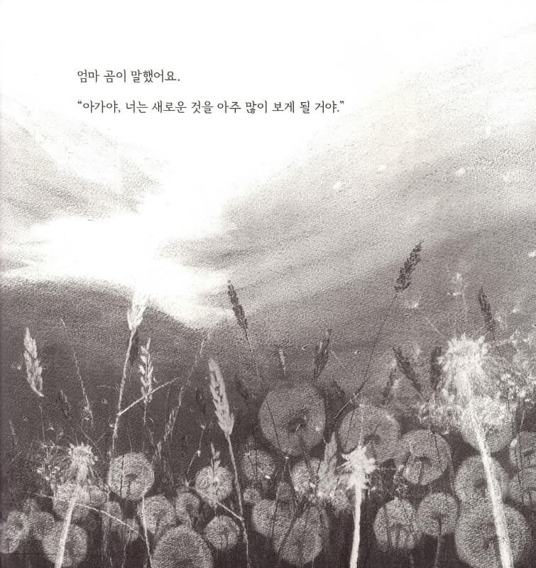 사랑하는 아가야