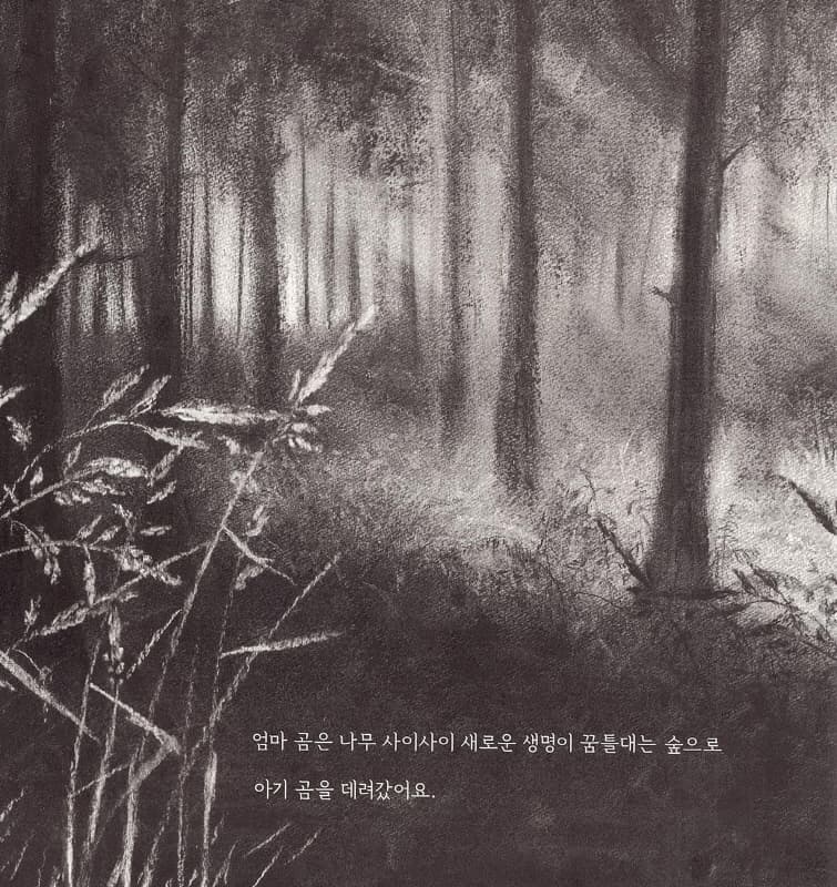 사랑하는 아가야