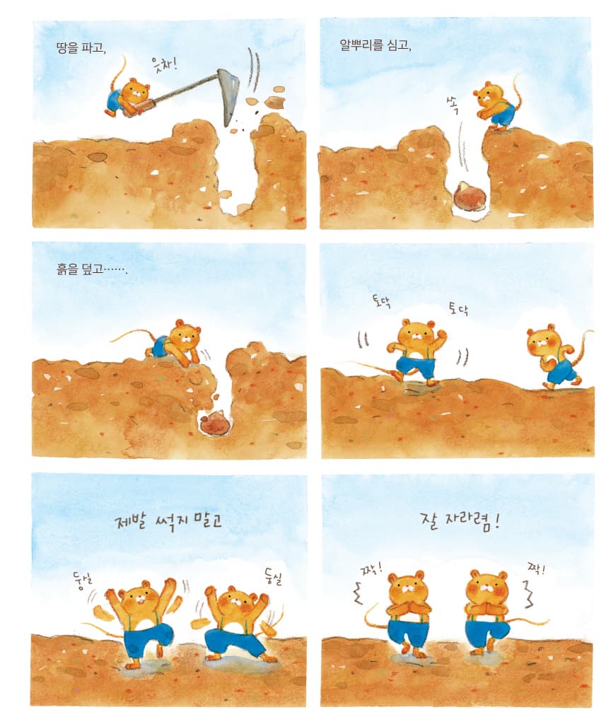 튤립 호텔