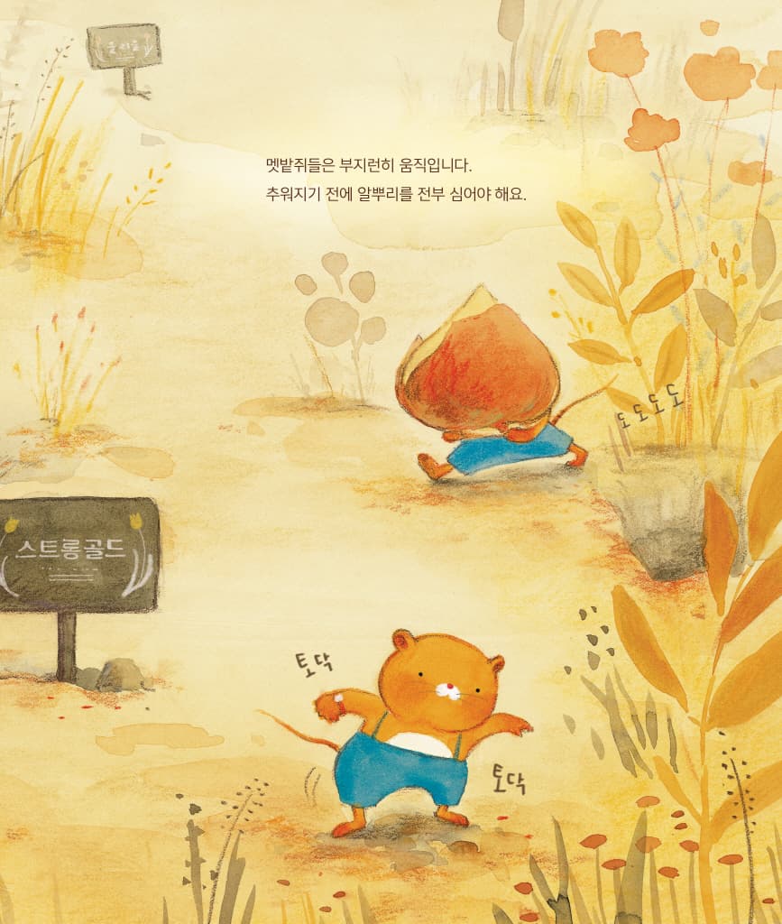 튤립 호텔