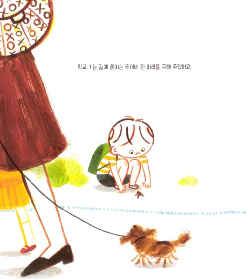 사소한 소원만 들어주는 두꺼비