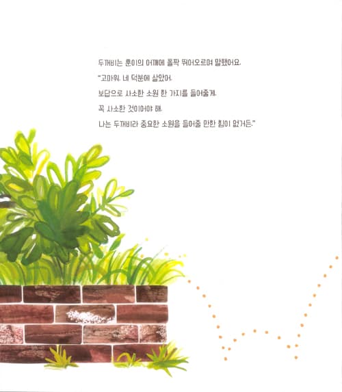 사소한 소원만 들어주는 두꺼비