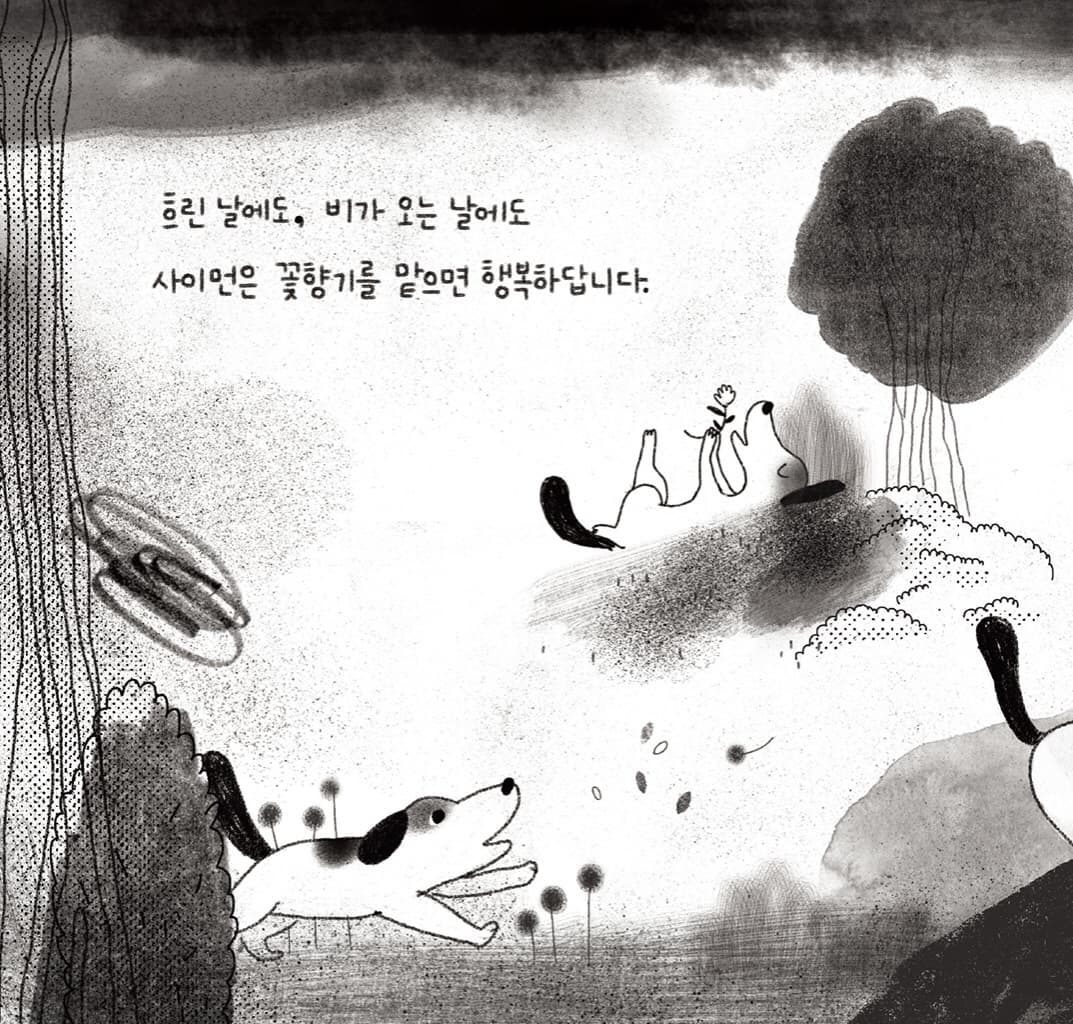 사이먼의 봄