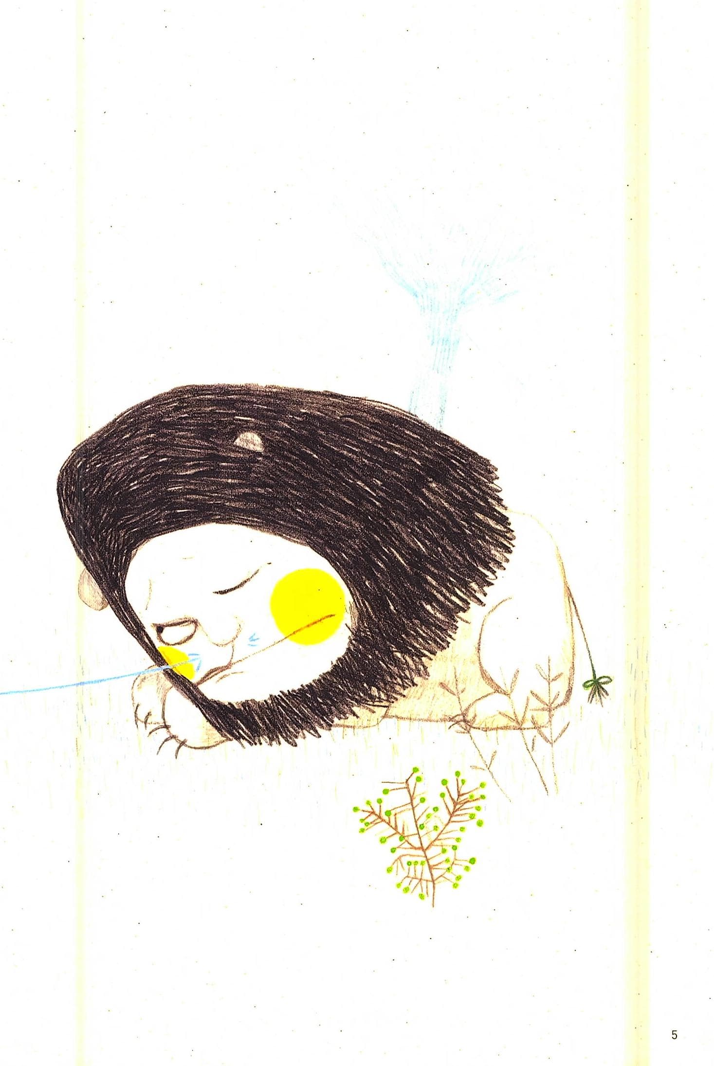사자책