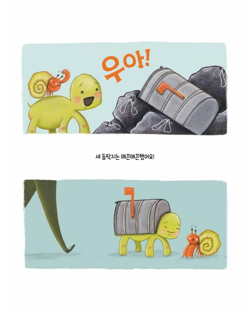 상자거북