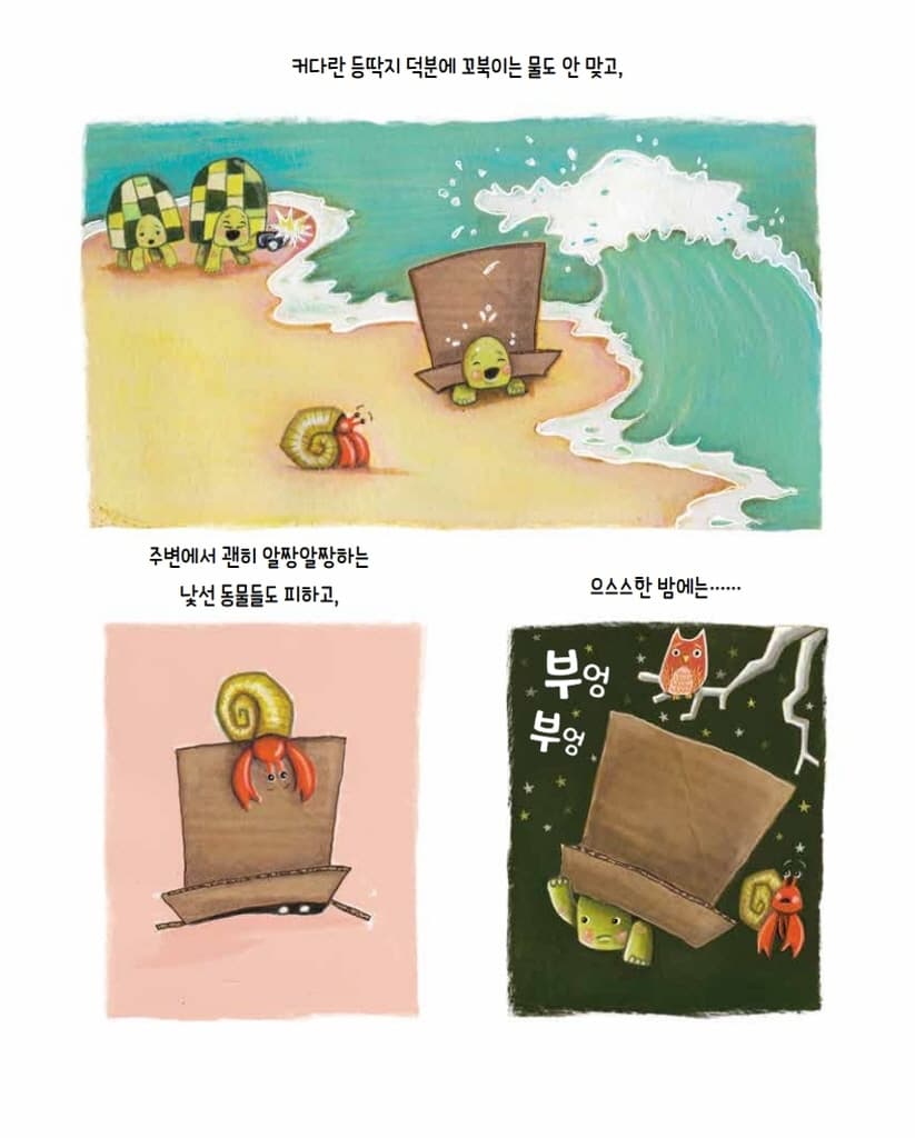 상자거북