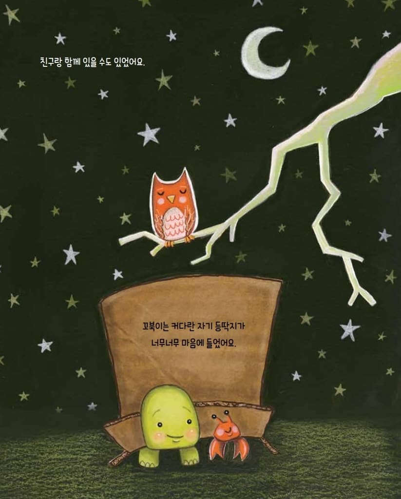 상자거북