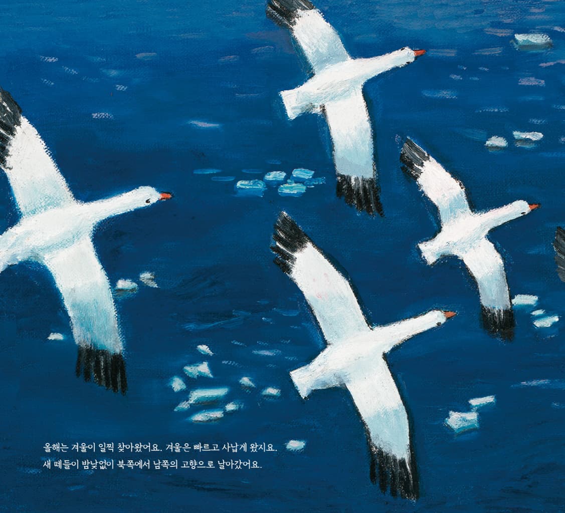 새와 빙산