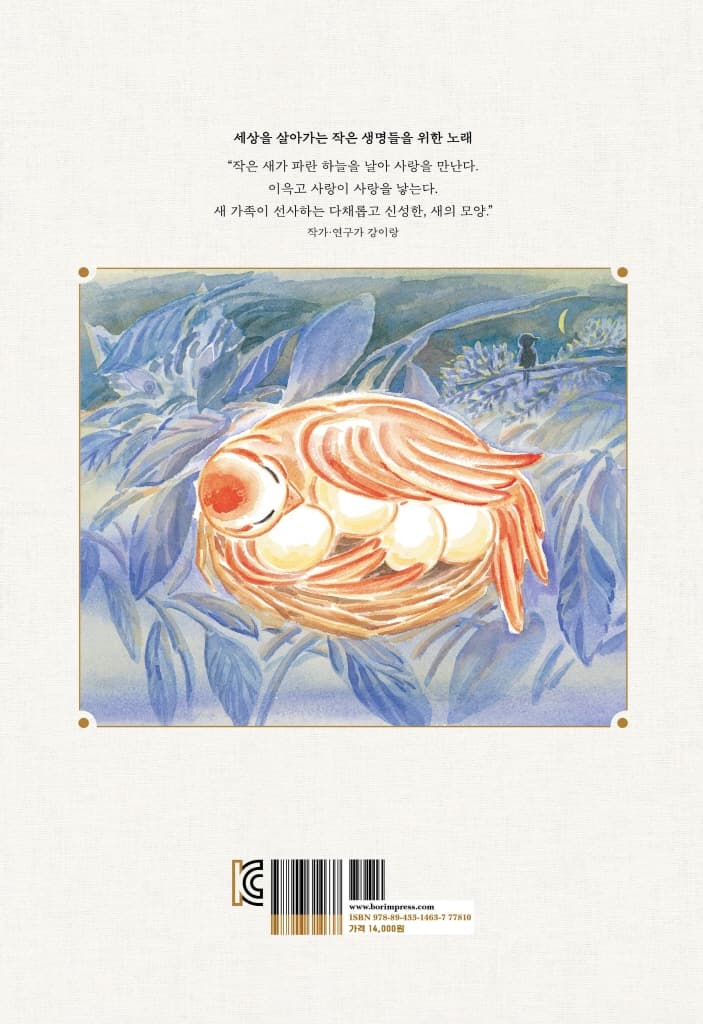 새의 모양