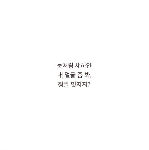 새하얀 고양이