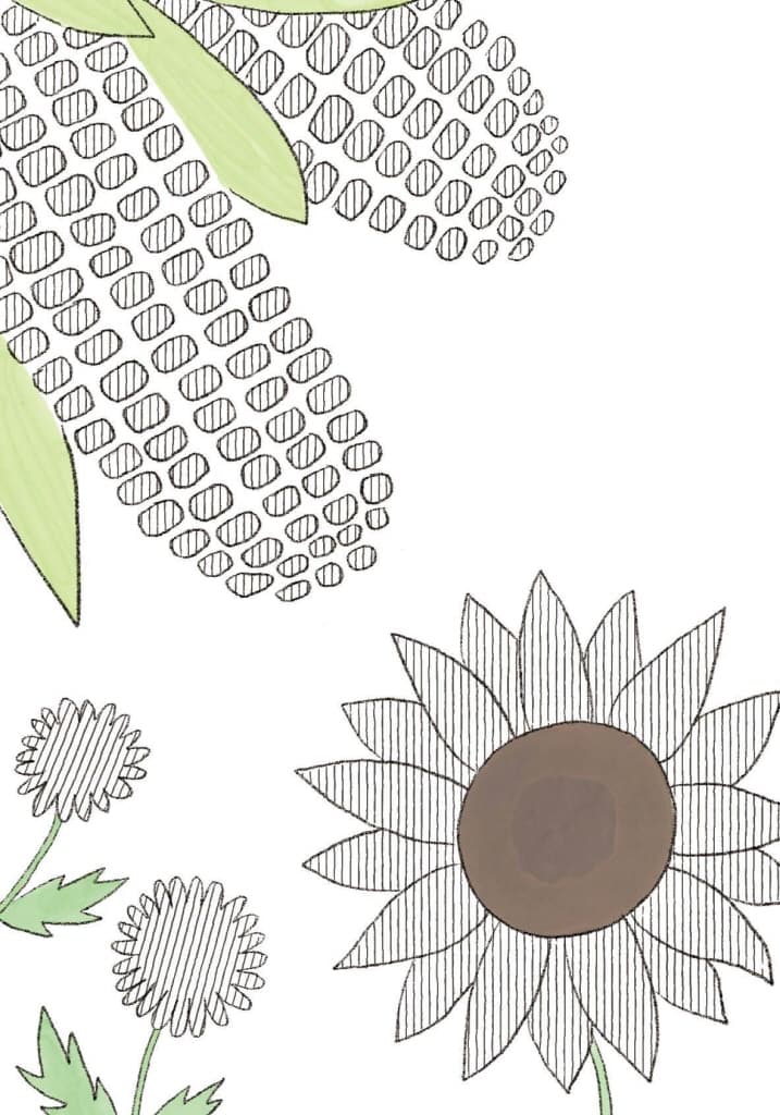 색 상상책 2