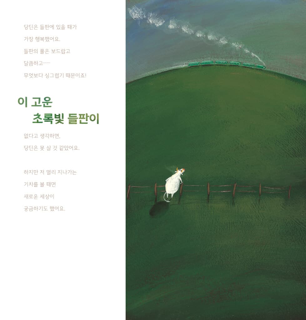 색색의 꿈을 꾸고 싶다면