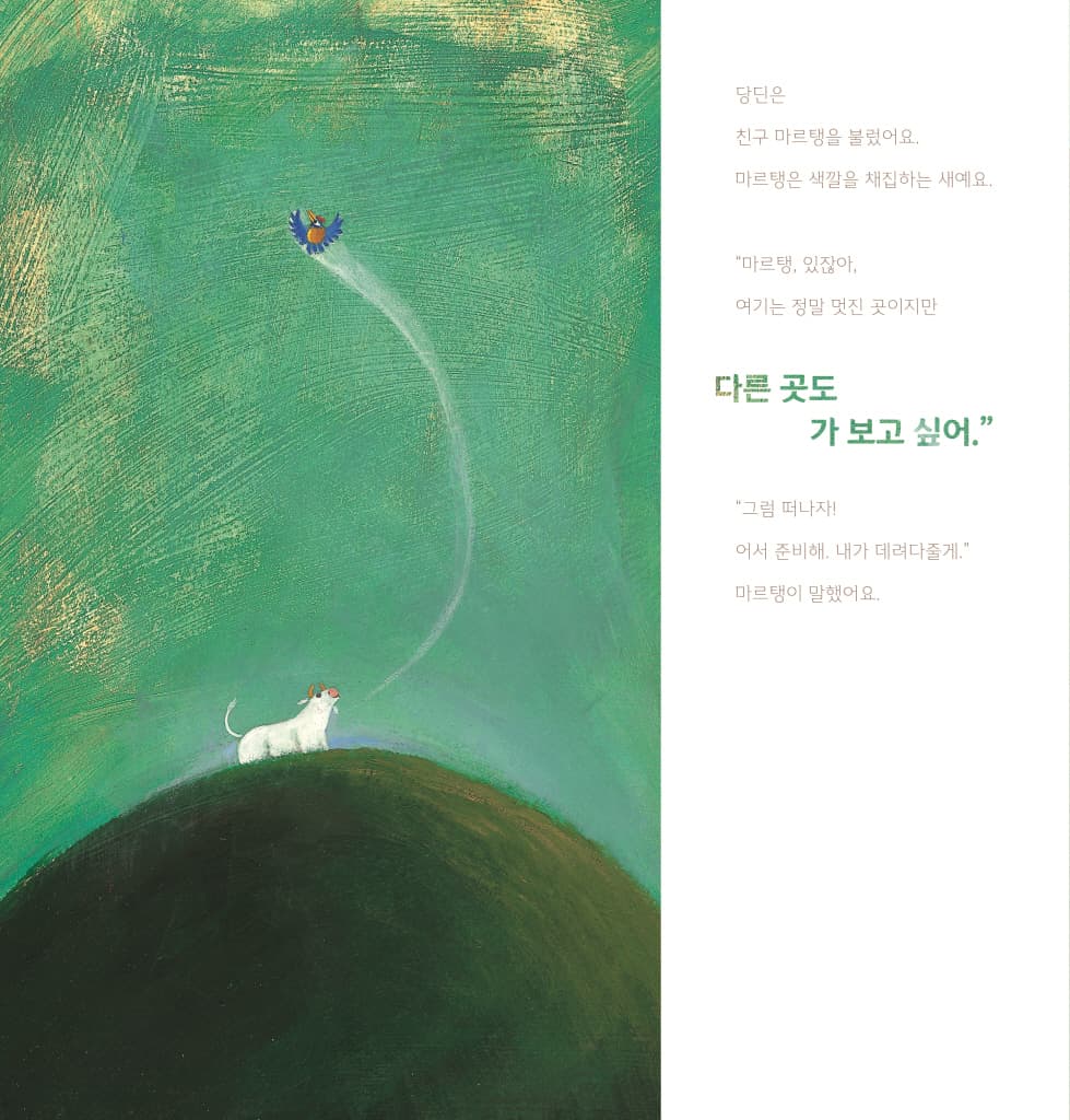 색색의 꿈을 꾸고 싶다면