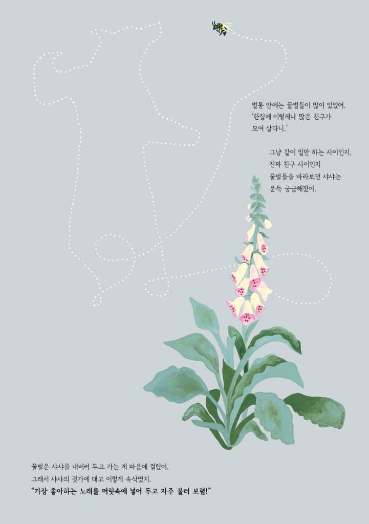 샤샤의 춤