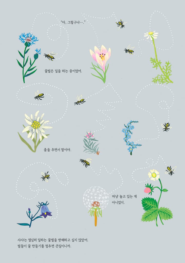 샤샤의 춤
