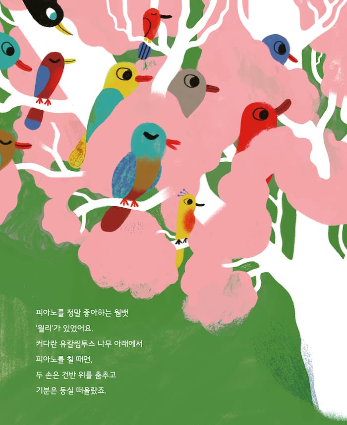 세계 최고의 웜뱃 피아니스트, 월리