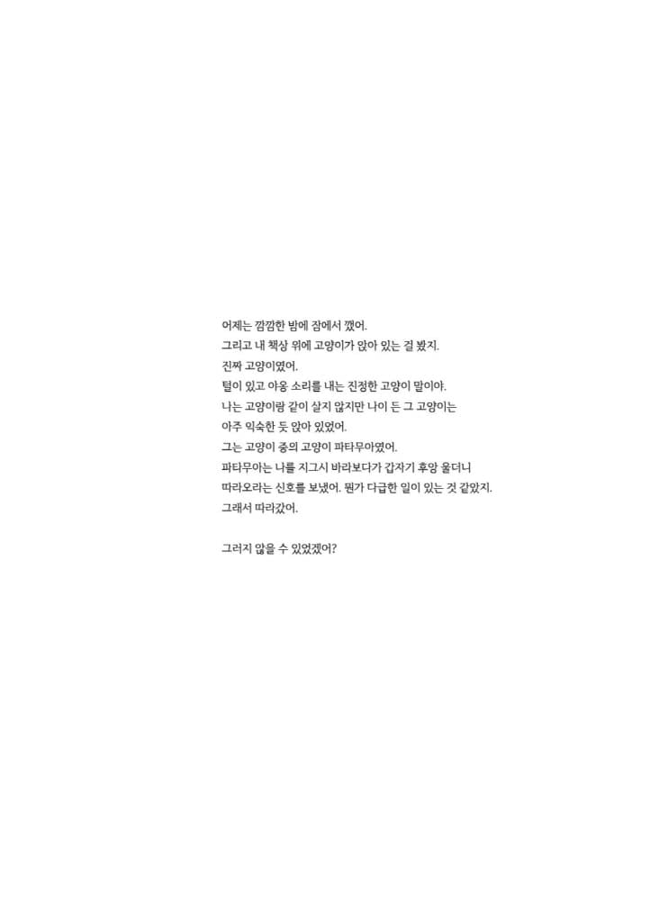 세상 모든 밤에