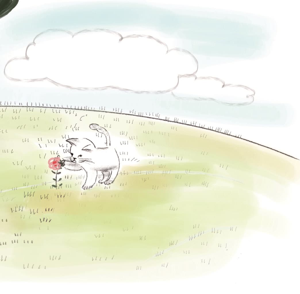 세상의 모든 나나