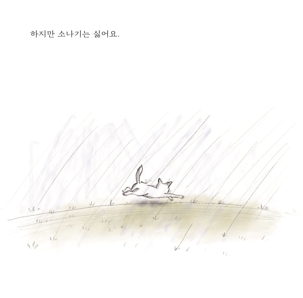 세상의 모든 나나