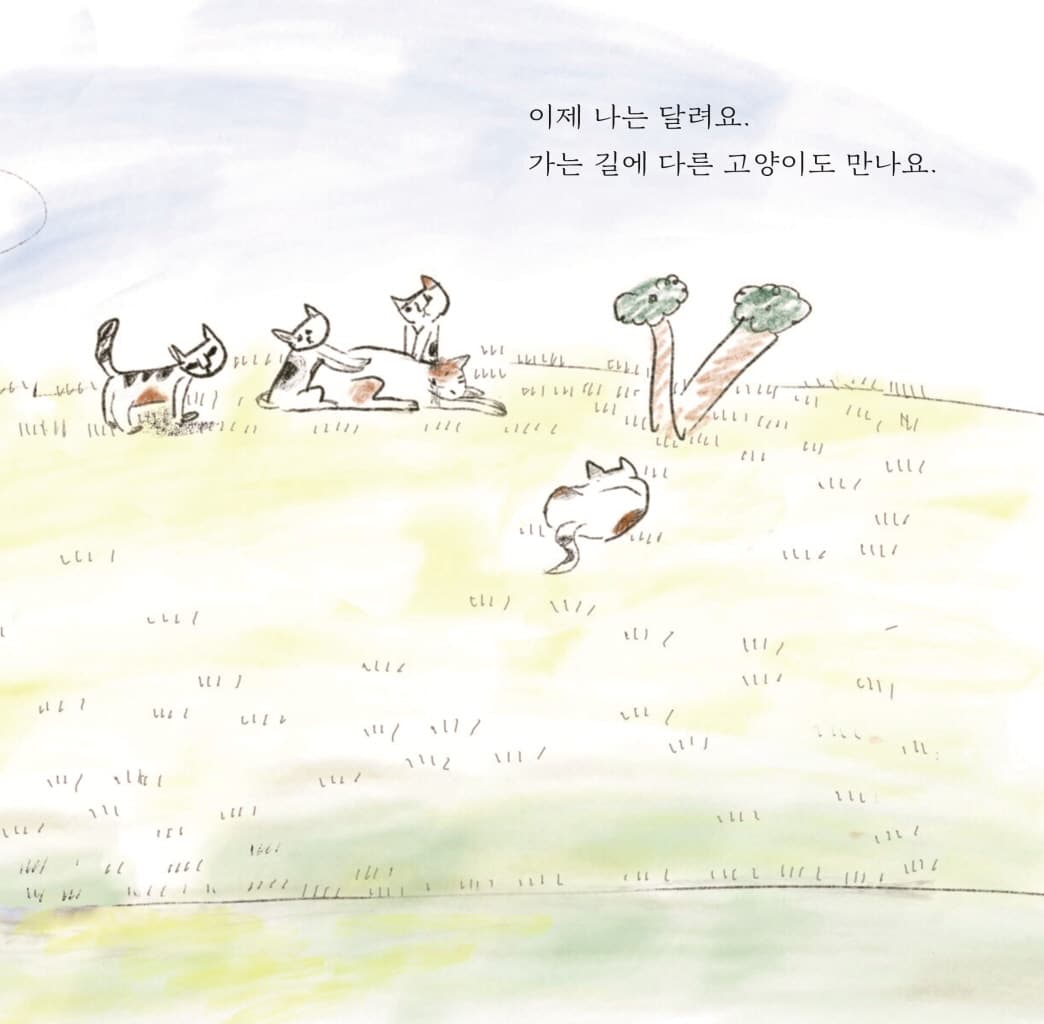 세상의 모든 나나