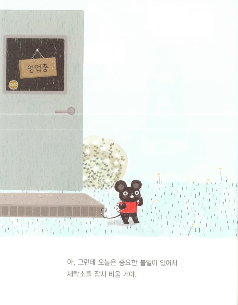 세탁 소동