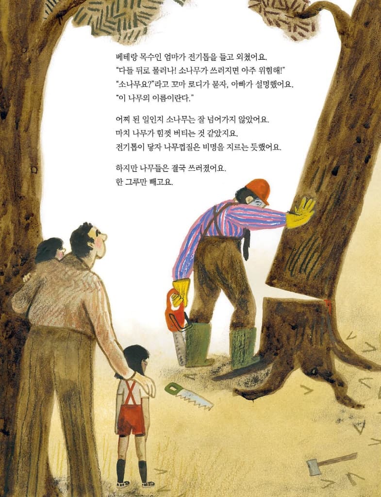 소나무