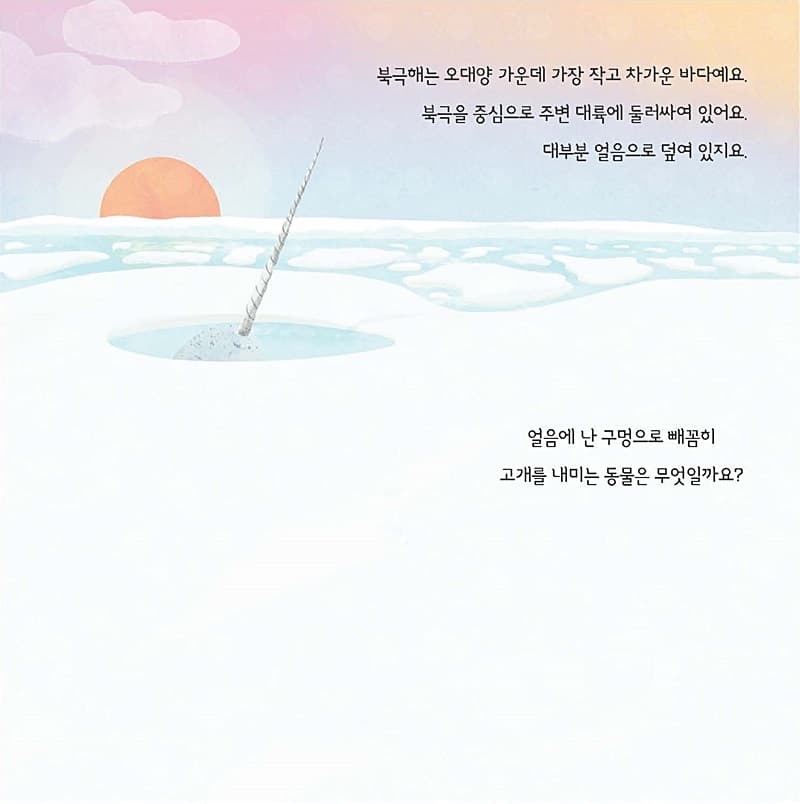 소중한 지구의 바다