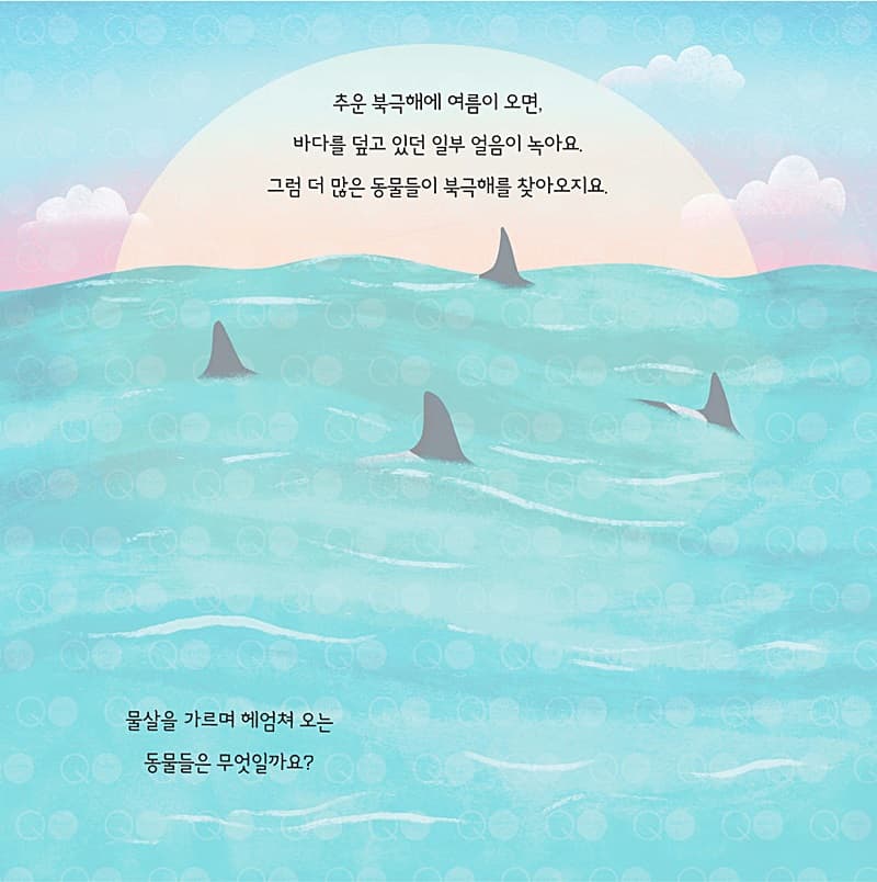 소중한 지구의 바다