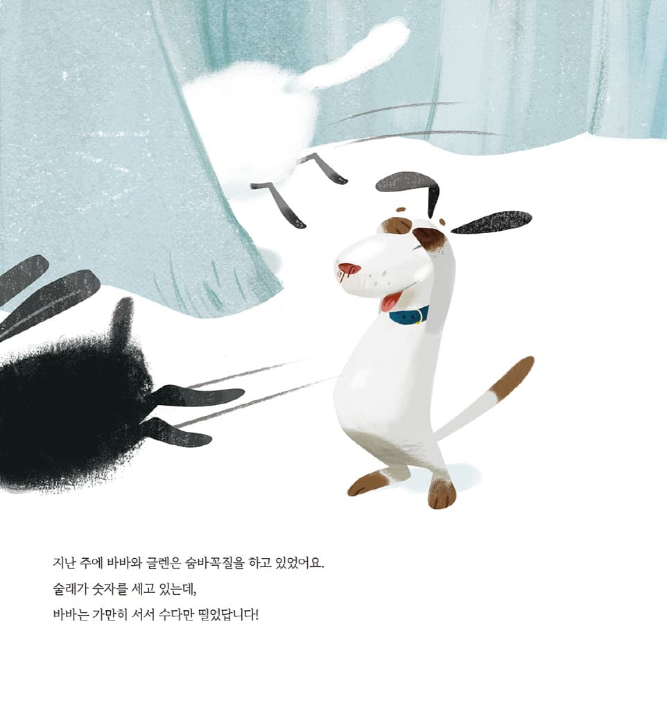 수다쟁이 고양이 바바