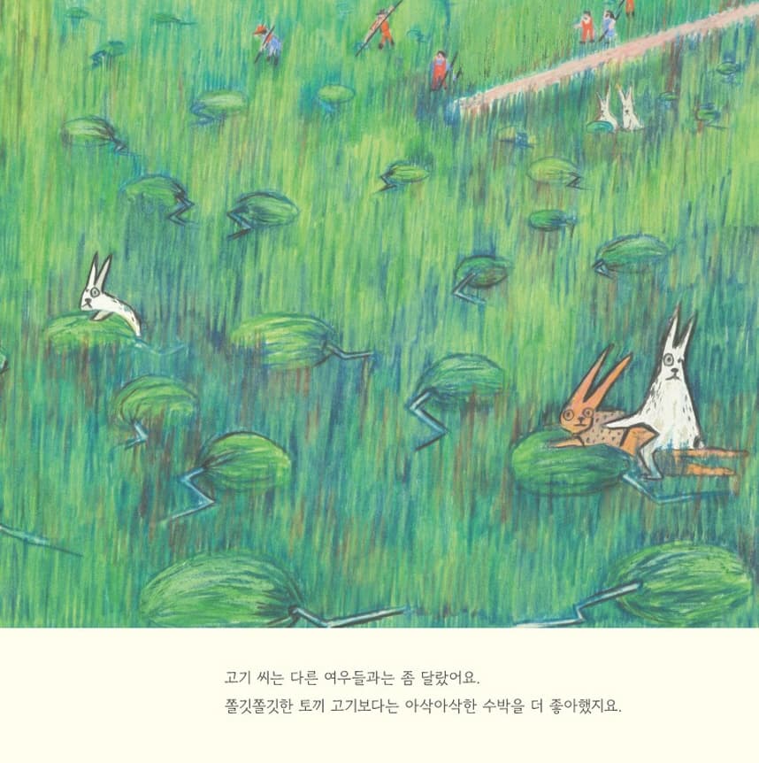 수박을 쓴 여우