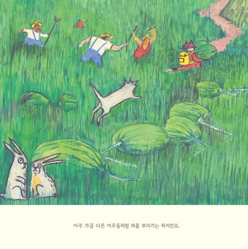 수박을 쓴 여우