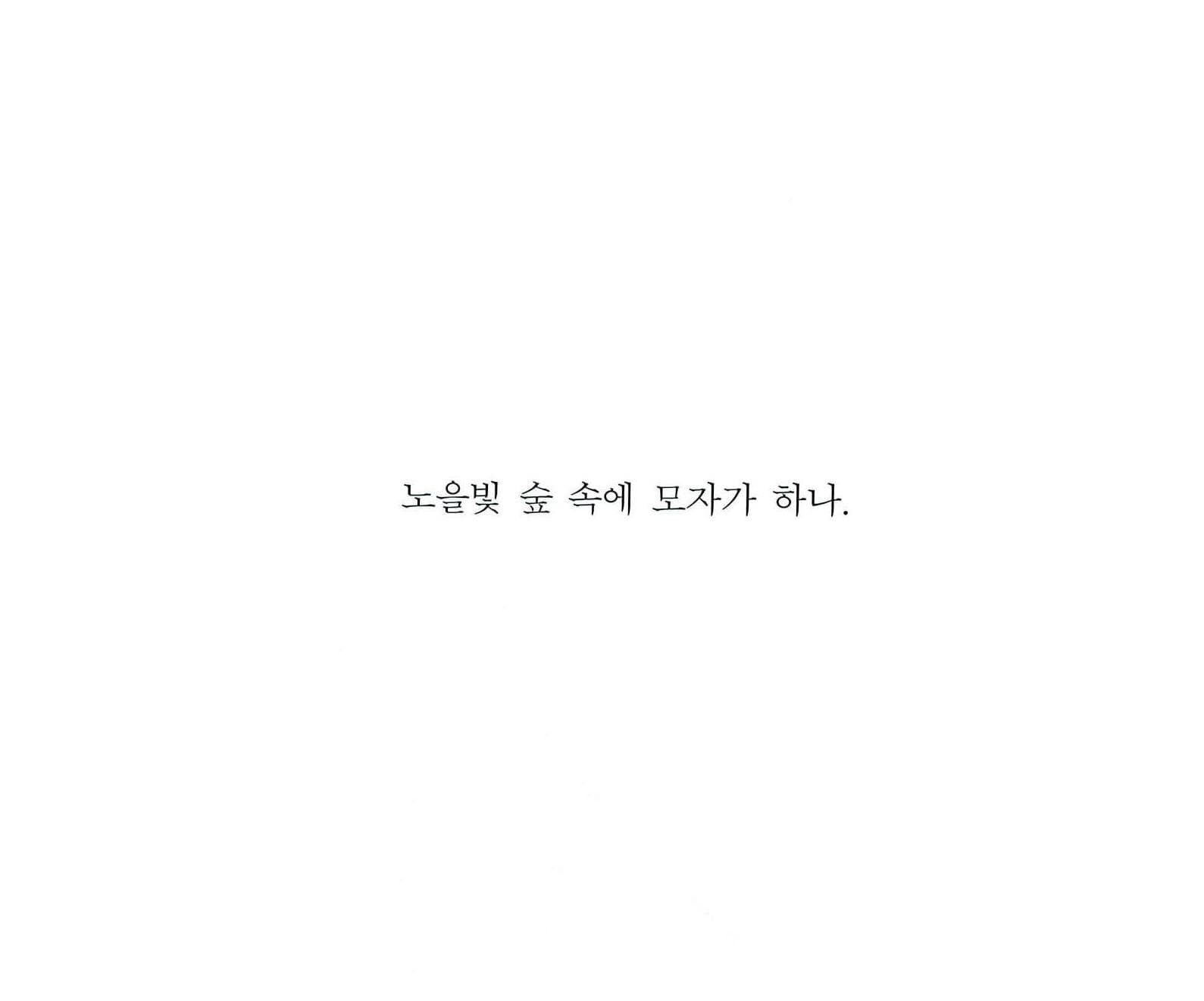 숲 속의 모자