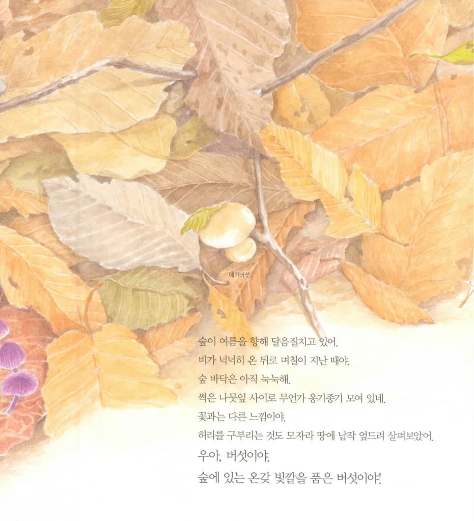 숲 청소부 버섯