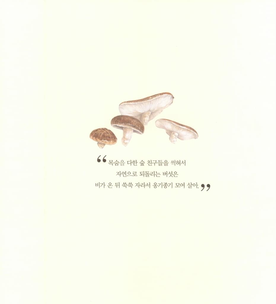 숲 청소부 버섯