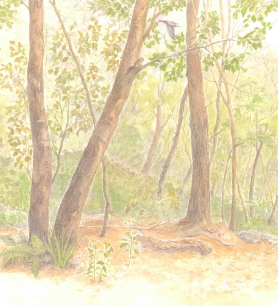 숲 청소부 버섯