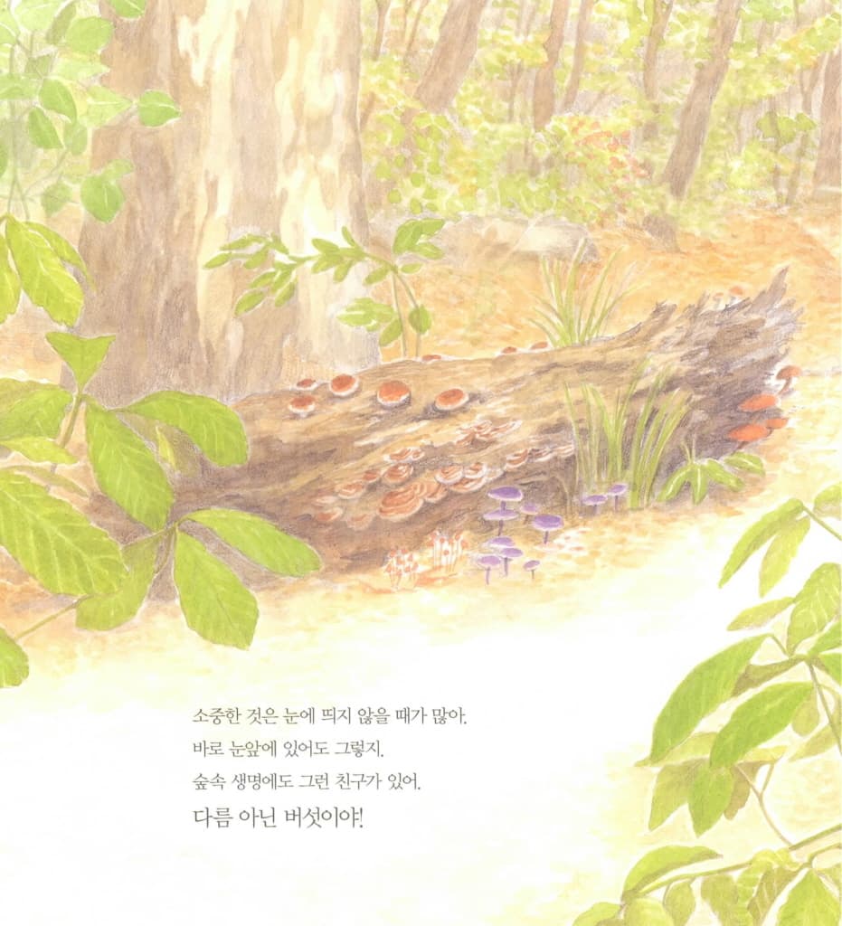숲 청소부 버섯