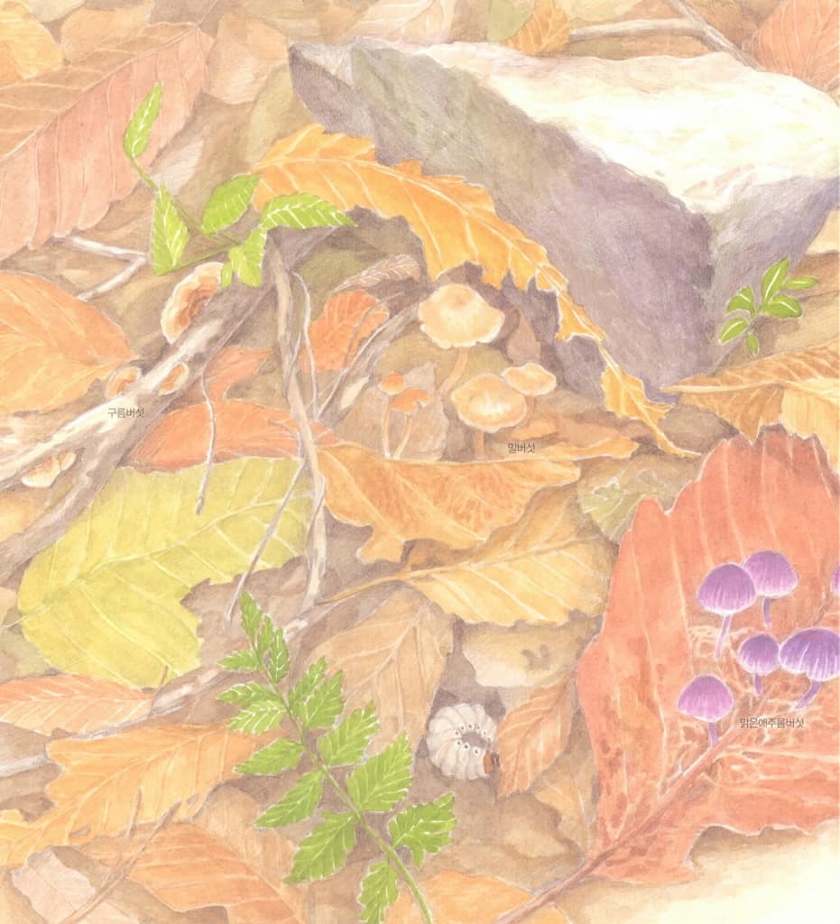 숲 청소부 버섯